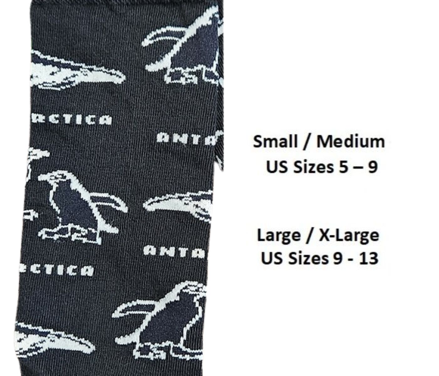 Special Edition: Antarctica Merino Boot Socks (Penguins & Whales) - Image 2