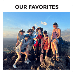 Our Favorites